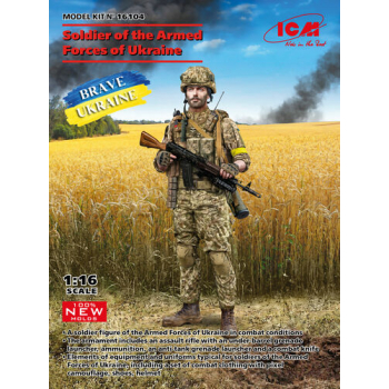 INFANTRYMAN OF THE ARMED FORCES OF UKRAINE